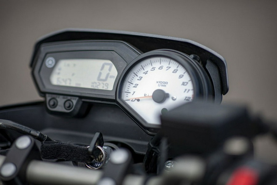 2013 Yamaha FZ 8