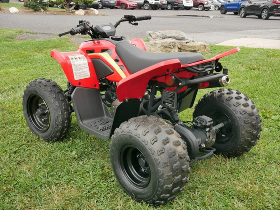 2023 CFMOTO CFORCE 110