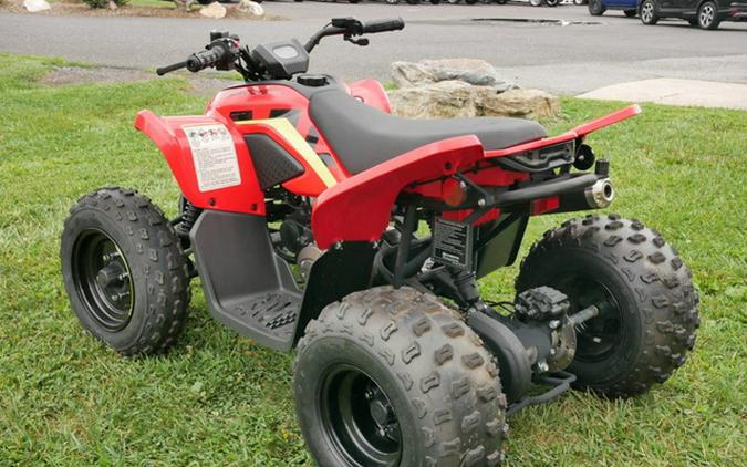 2023 CFMOTO CFORCE 110
