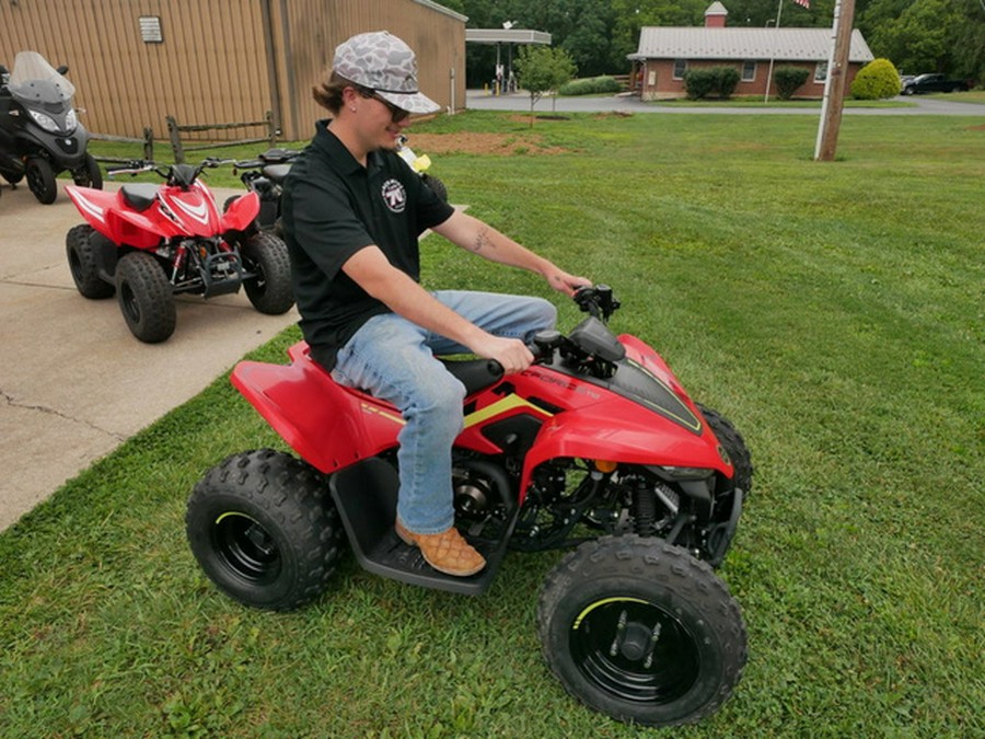 2023 CFMOTO CFORCE 110