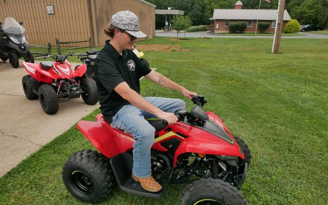 2023 CFMOTO CFORCE 110