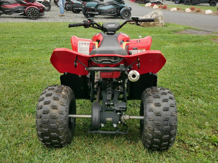 2023 CFMOTO CFORCE 110