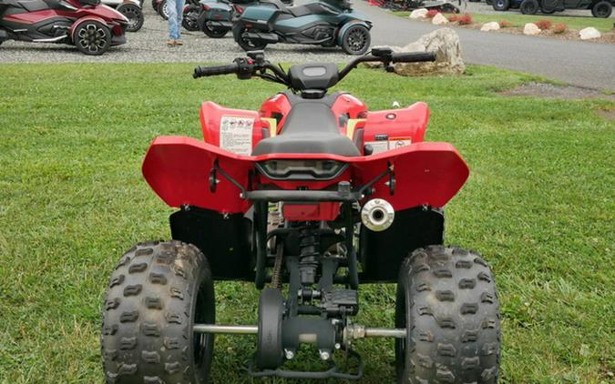2023 CFMOTO CFORCE 110