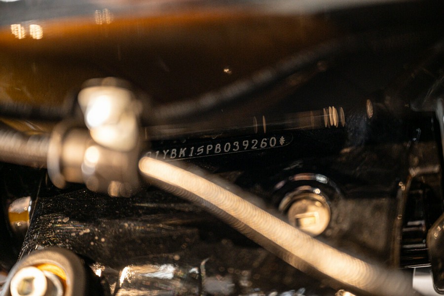 2023 Harley-Davidson Softail Heritage Classic Cruiser FLHCS