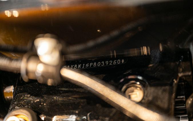 2023 Harley-Davidson Softail Heritage Classic Cruiser FLHCS