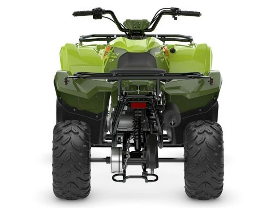 2026 Yamaha Grizzly 110