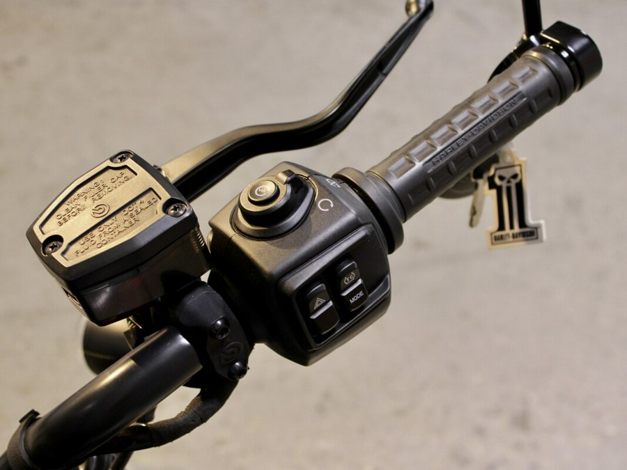 2024 Harley-Davidson Sportster Nightster RH975