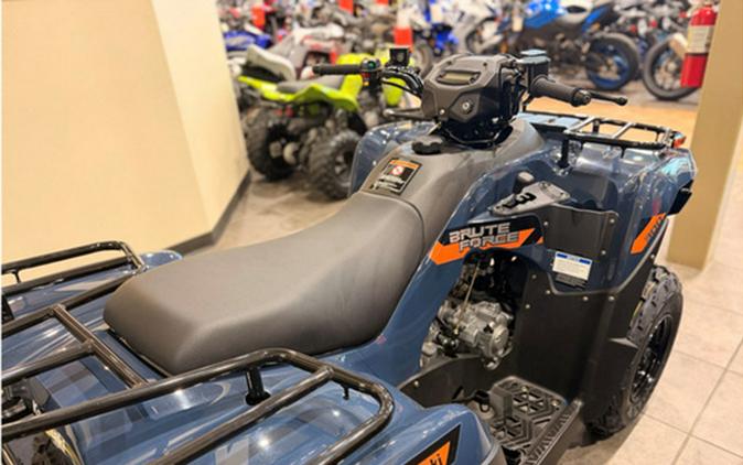 2026 Kawasaki Brute Force 300