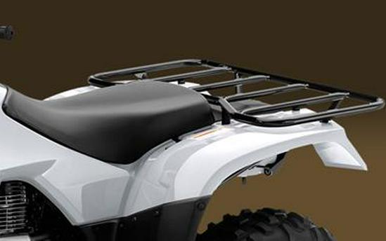 2018 Honda FourTrax Recon® ES
