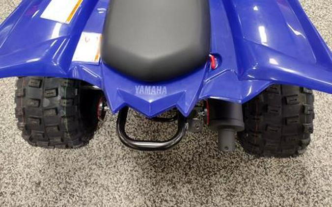 2024 Yamaha Raptor 110