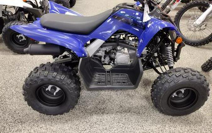 2024 Yamaha Raptor 110