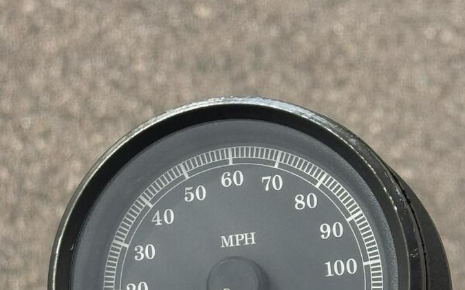 2009 Harley-Davidson® Sportster® 883 Low