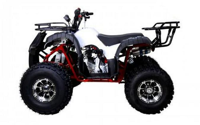 Tao Motors 125 NewTFORCE