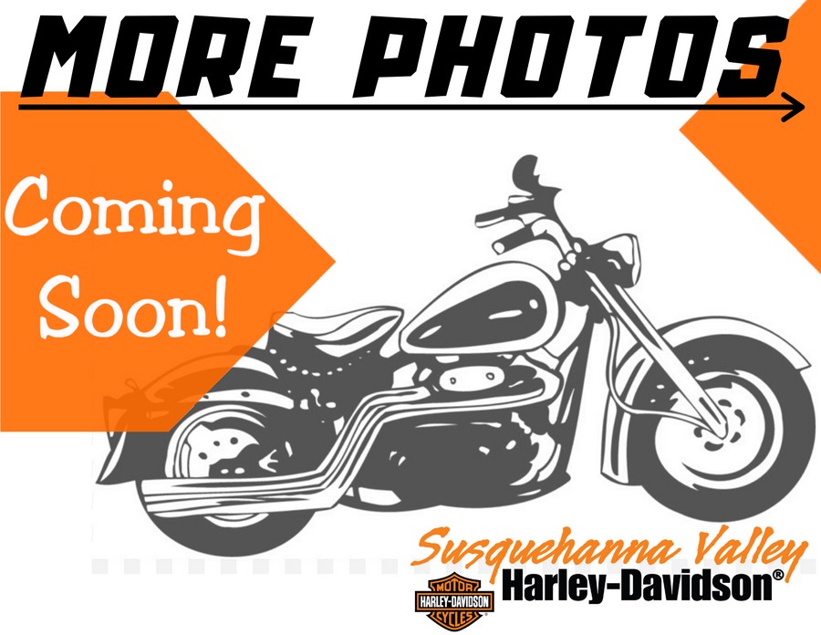 2020 Harley-Davidson Road Glide Special