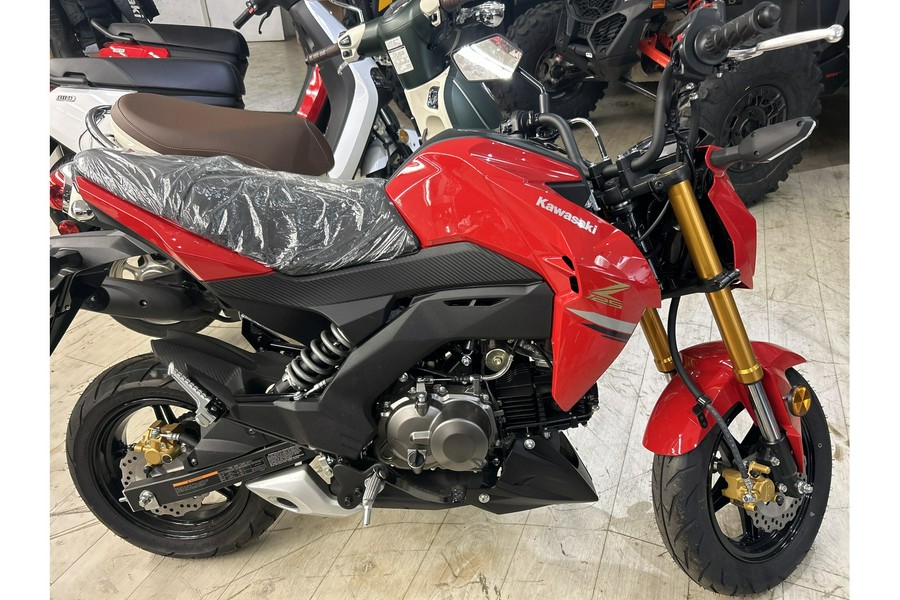 2023 Kawasaki Z125 PRO