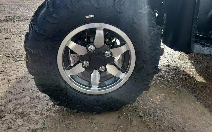 2026 Kawasaki Brute Force® 750 SE EPS