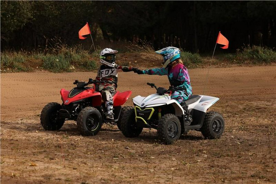 2024 CFMOTO CFORCE EV110