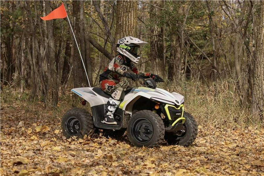 2024 CFMOTO CFORCE EV110