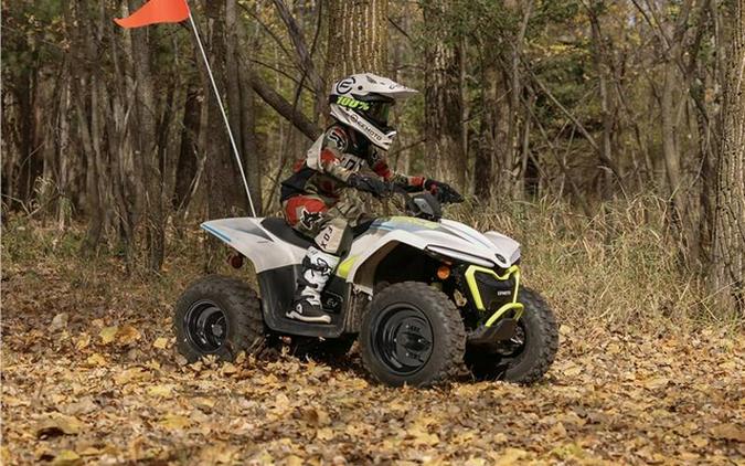 2024 CFMOTO CFORCE EV110