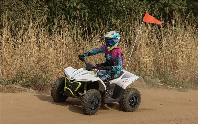 2024 CFMOTO CFORCE EV110