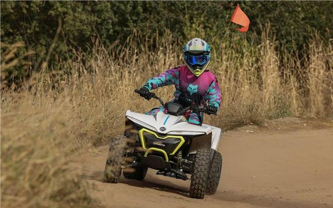 2024 CFMOTO CFORCE EV110