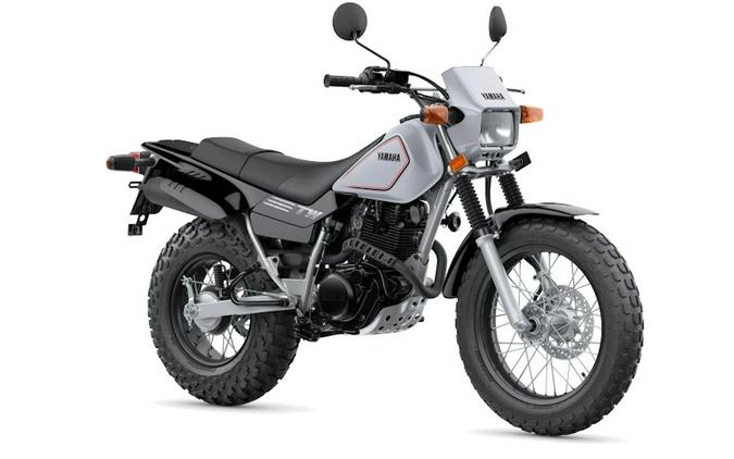 2026 YAMAHA TW200 Gallant Gray - Y2700