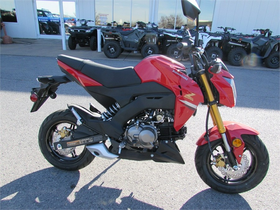 2023 Kawasaki Z125 PRO