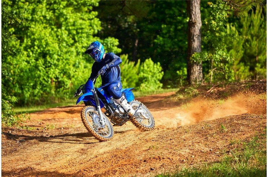 2023 Yamaha TT-R230 BLUE