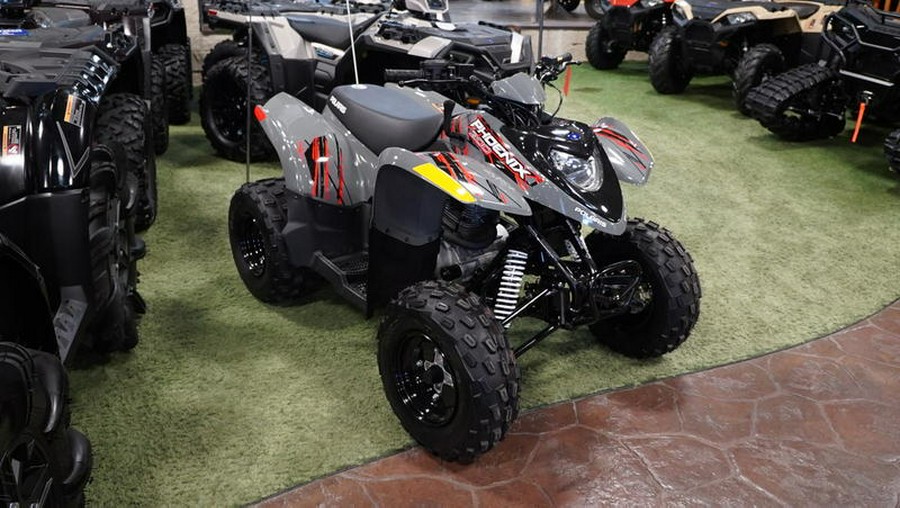 2024 Polaris® Phoenix 200