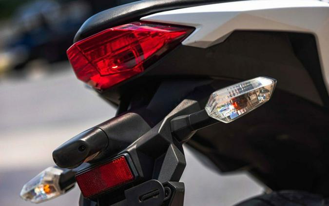 2017 Kawasaki Ninja 300