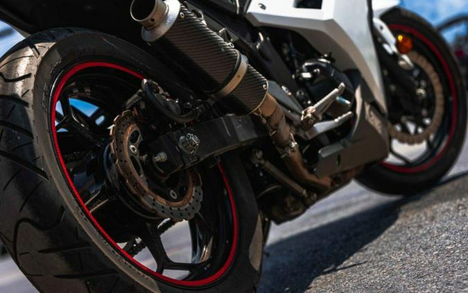 2017 Kawasaki Ninja 300