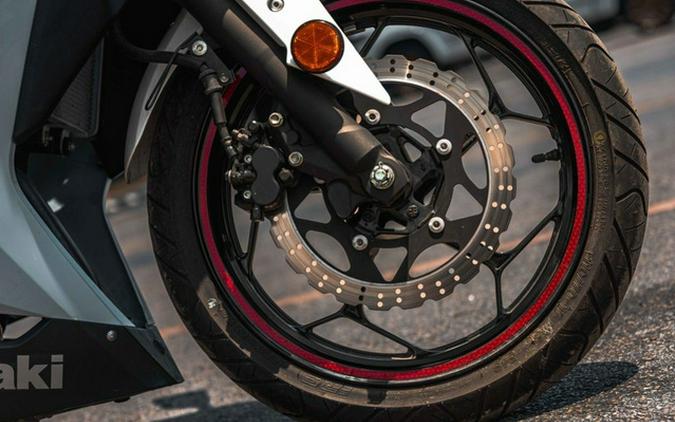 2017 Kawasaki Ninja 300