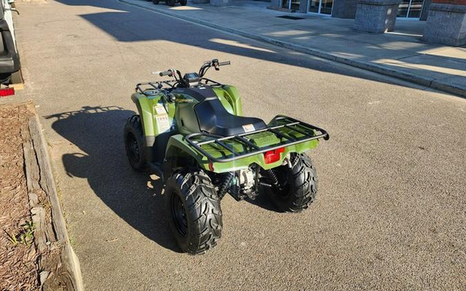 2024 Yamaha Kodiak 450