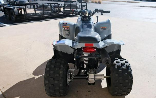 Used 2025 POLARIS PHOENIX 200