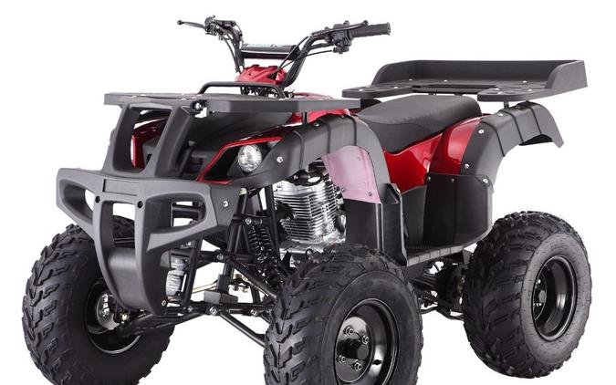 Tao Motors 250 Rhino