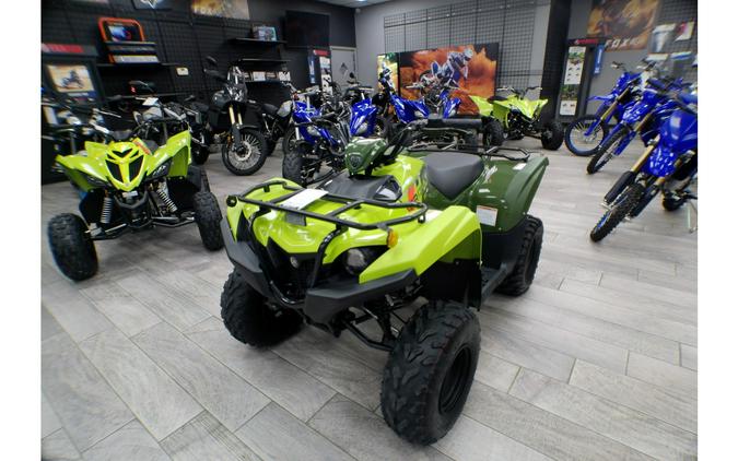 2026 Yamaha Raptor 110