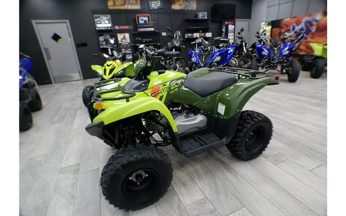 2026 Yamaha Raptor 110