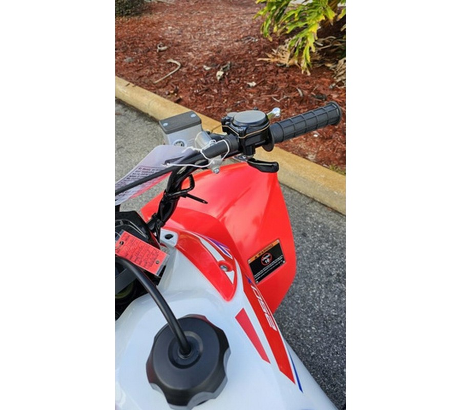 2026 Honda TRX250X