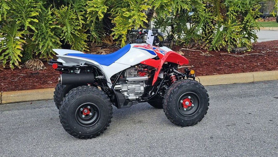 2026 Honda TRX250X