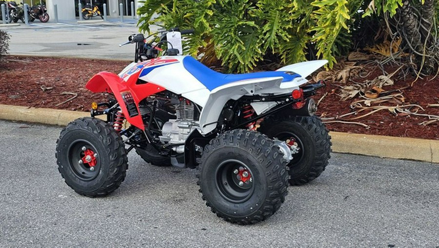 2026 Honda TRX250X