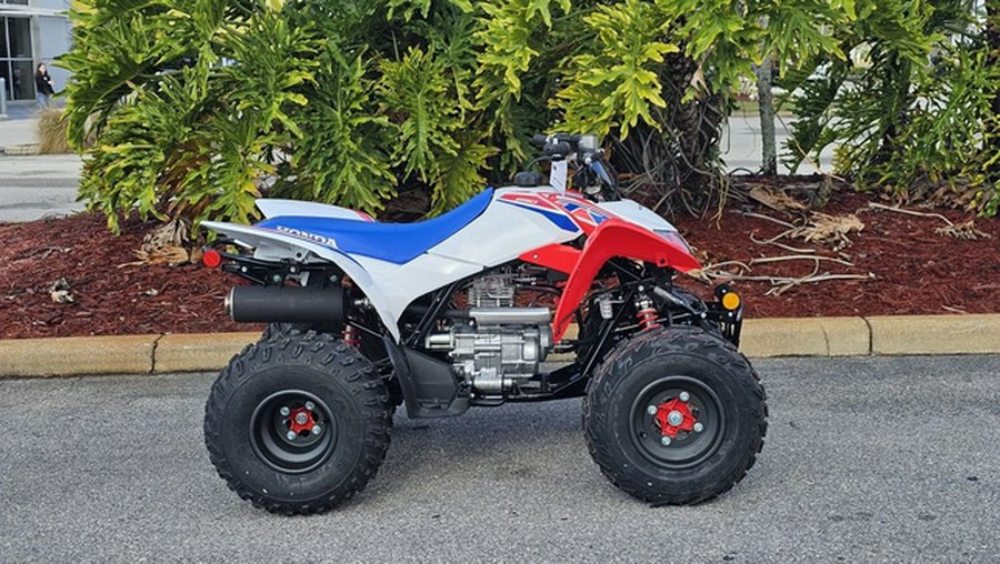 2026 Honda TRX250X
