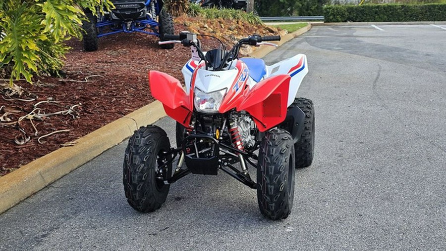 2026 Honda TRX250X