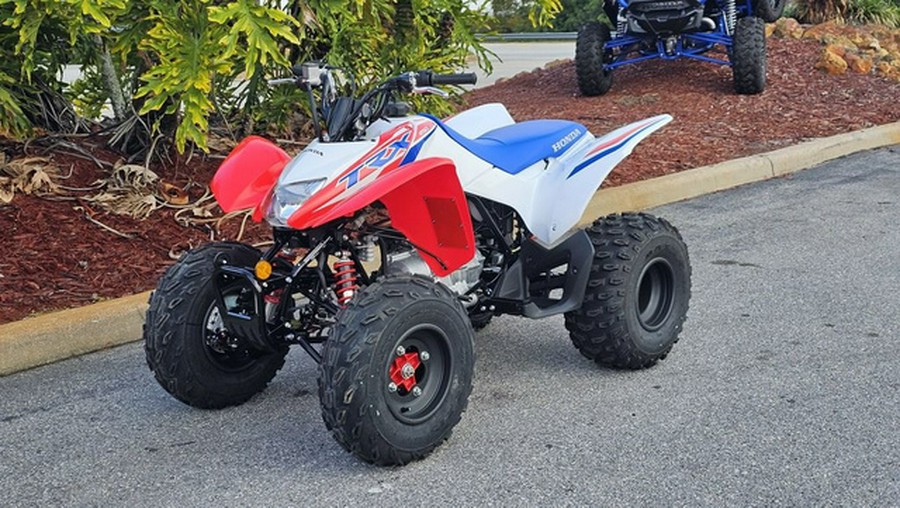2026 Honda TRX250X