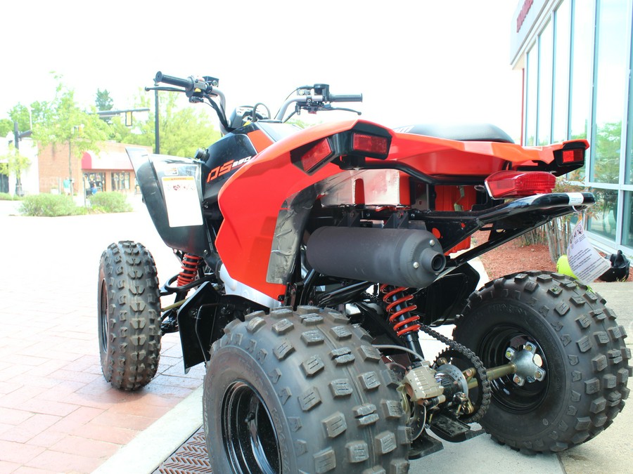 2024 Can-Am™ DS 250