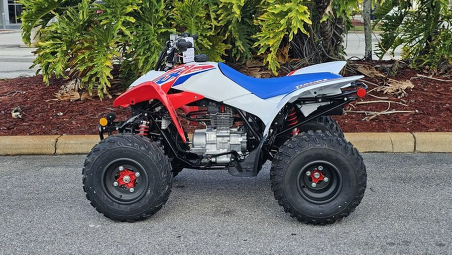 2026 Honda TRX250X