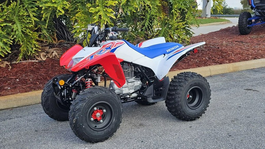 2026 Honda TRX250X