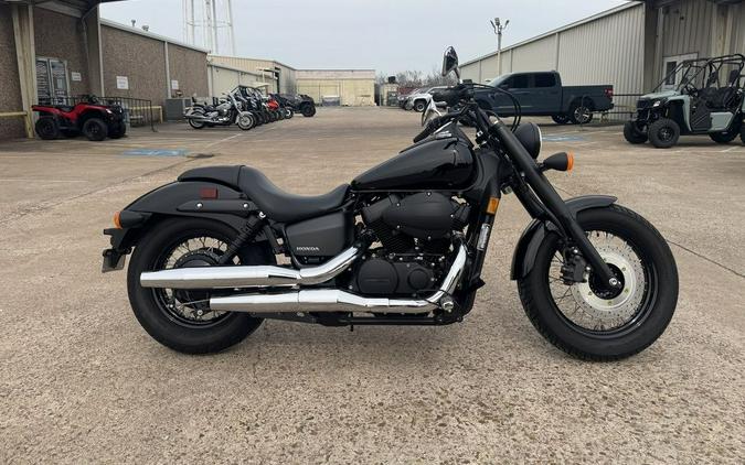 2020 Honda® Shadow Phantom
