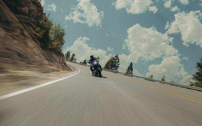 2025 Harley-Davidson® Softail Low Rider ST