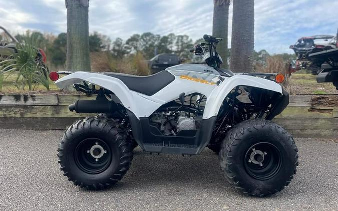 2024 Yamaha Grizzly 90