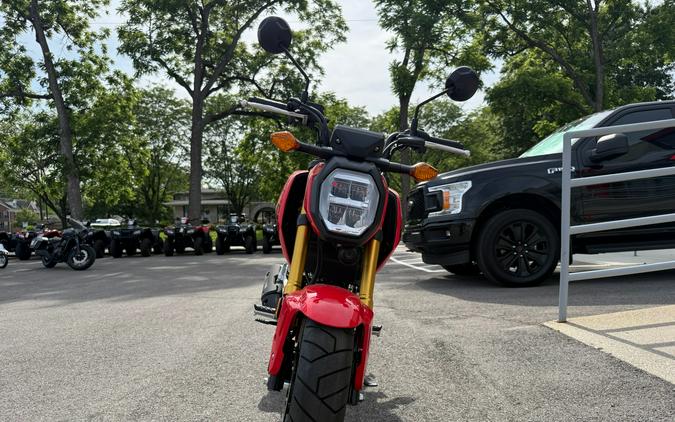 2026 Honda Grom